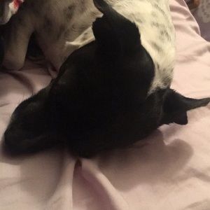 Meet your Posher, Janelle